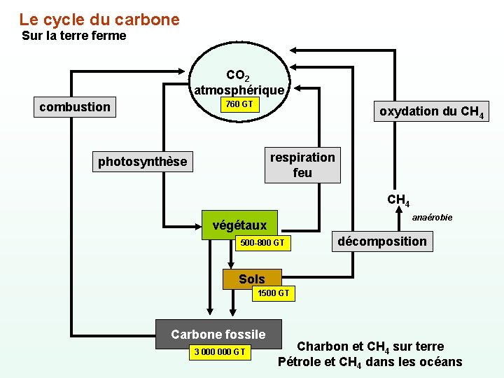 Le cycle du carbone Sur la terre ferme CO 2 atmosphérique 760 GT combustion