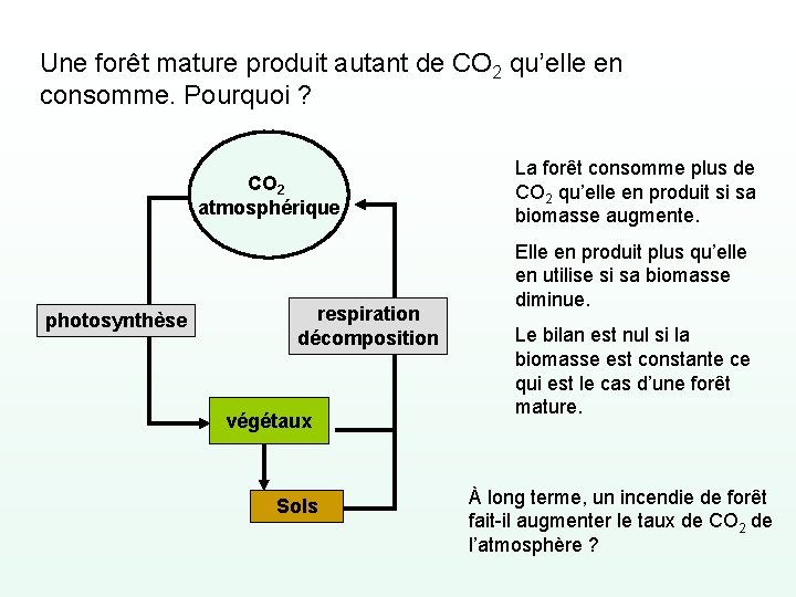 Une forêt mature produit autant de CO 2 qu’elle en consomme. Pourquoi ? CO