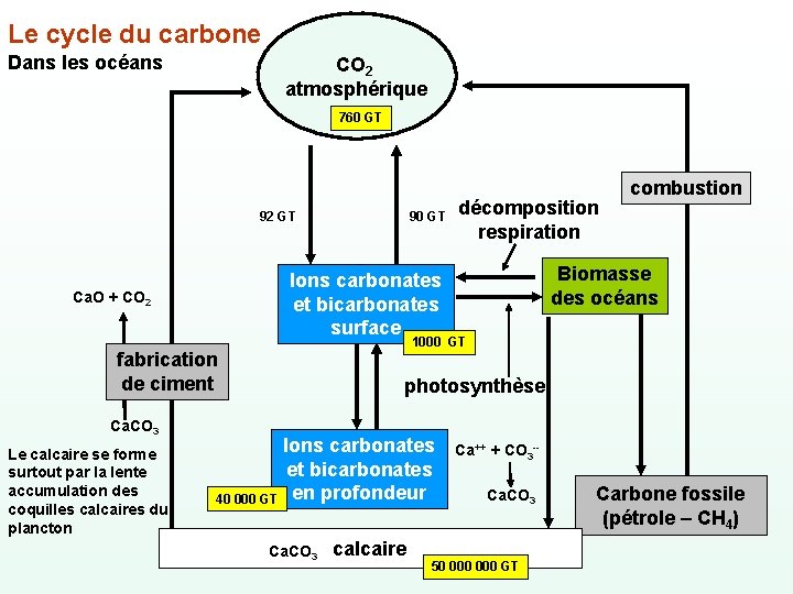 Le cycle du carbone Dans les océans CO 2 atmosphérique 760 GT 92 GT