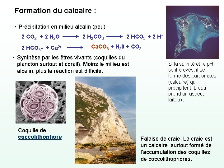 Formation du calcaire : • Précipitation en milieu alcalin (peu) 2 CO 2 +