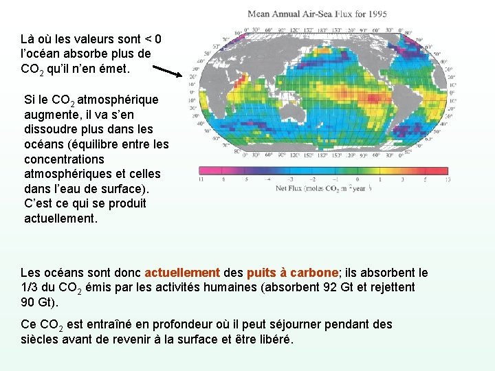 Là où les valeurs sont < 0 l’océan absorbe plus de CO 2 qu’il