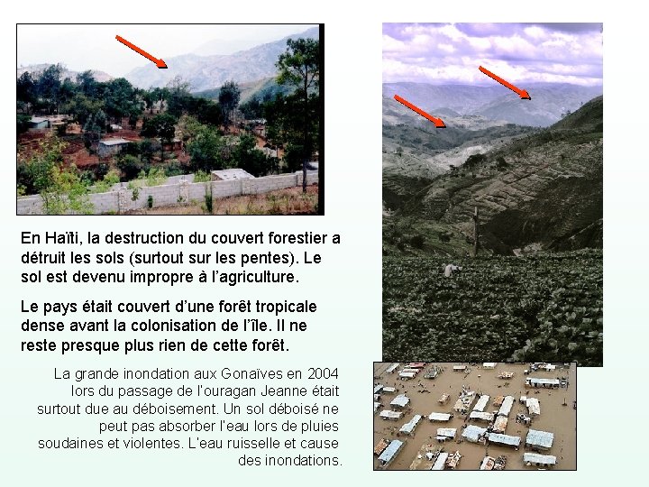 En Haïti, la destruction du couvert forestier a détruit les sols (surtout sur les
