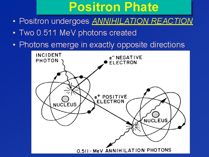 Positron Phate • Positron undergoes ANNIHILATION REACTION • Two 0. 511 Me. V photons