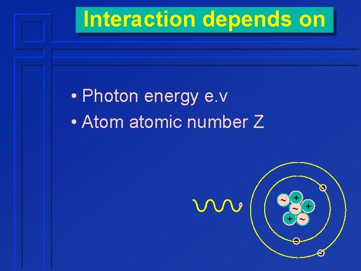 Interaction depends on • Photon energy e. v • Atom atomic number Z ~