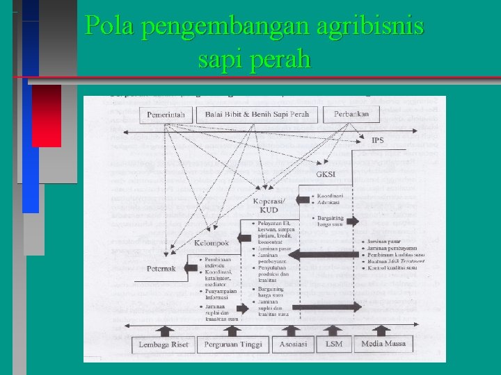 Pola pengembangan agribisnis sapi perah 