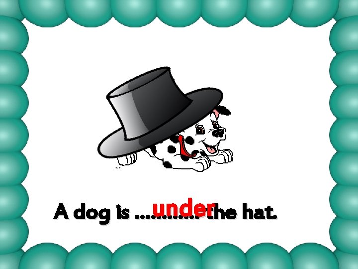 underthe hat. A dog is ………… 
