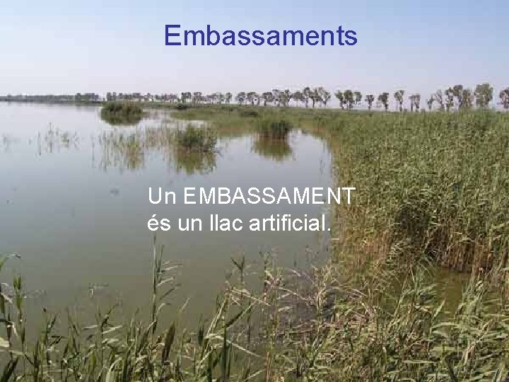 Embassaments Un EMBASSAMENT és un llac artificial. 