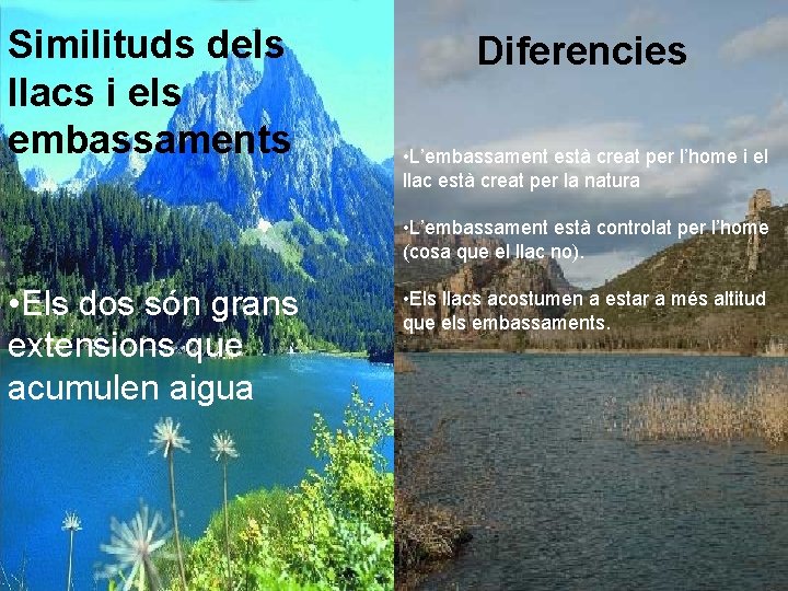 Similituds dels llacs i els embassaments Diferencies • L’embassament està creat per l’home i