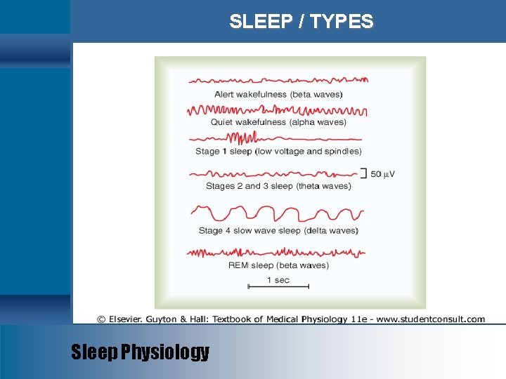 SLEEP / TYPES Sleep Physiology 