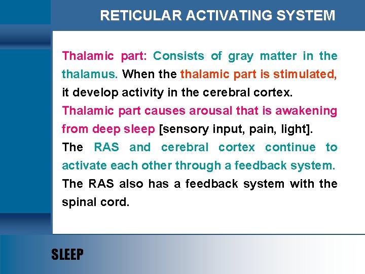 RETICULAR ACTIVATING SYSTEM Thalamic part: Consists of gray matter in the thalamus. When the