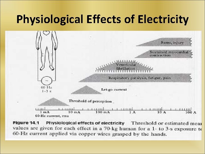 Physiological Effects of Electricity 