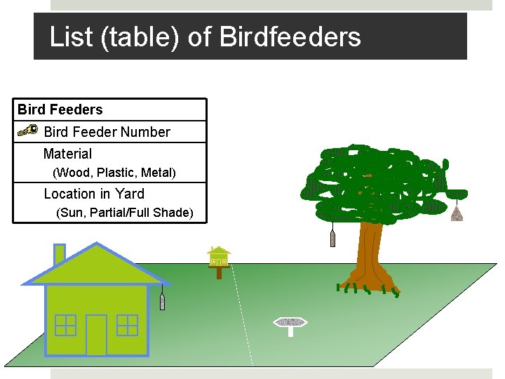 List (table) of Birdfeeders Bird Feeder Number Material (Wood, Plastic, Metal) Location in Yard
