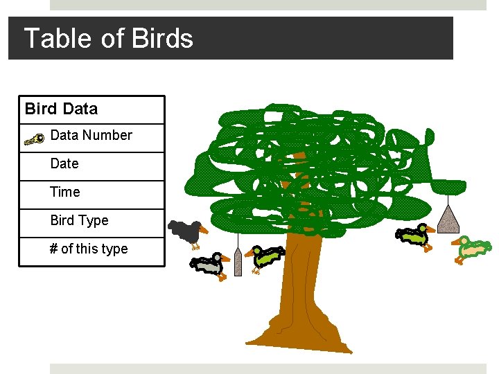 Table of Birds Bird Data Number Date Time Bird Type # of this type