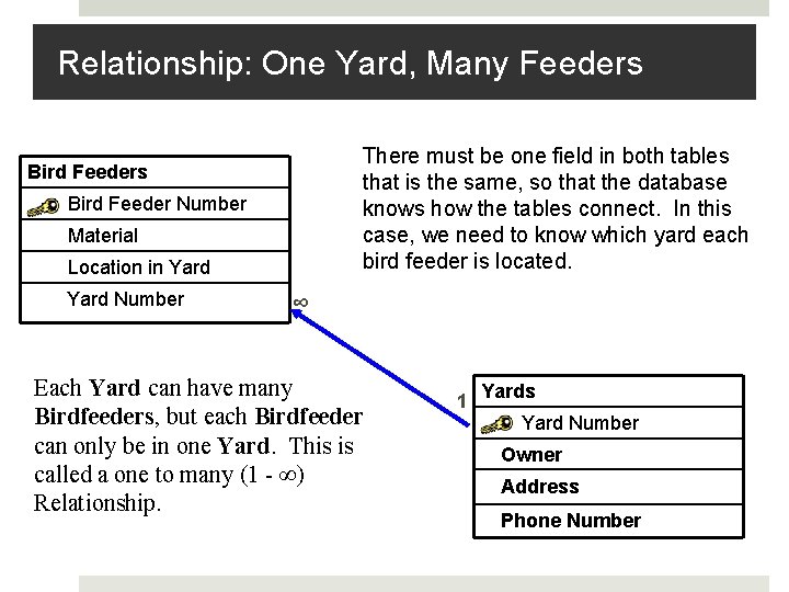 Relationship: One Yard, Many Feeders There must be one field in both tables that