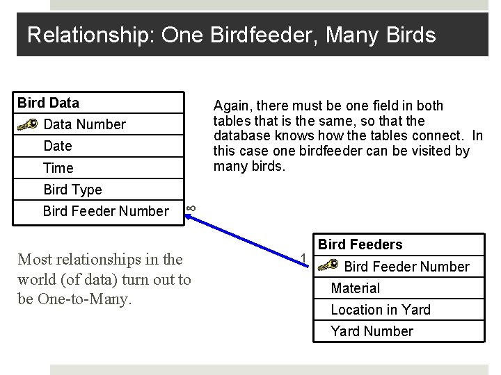 Relationship: One Birdfeeder, Many Birds Bird Data Again, there must be one field in