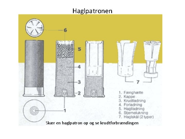 Haglpatronen Skær en haglpatron op og se krudtforbrændingen 