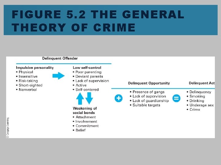FIGURE 5. 2 THE GENERAL THEORY OF CRIME 