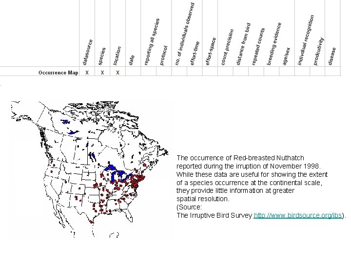 The occurrence of Red-breasted Nuthatch reported during the irruption of November 1998. While these The occurrence of Red-breasted Nuthatch reported during the irruption of November 1998. While these