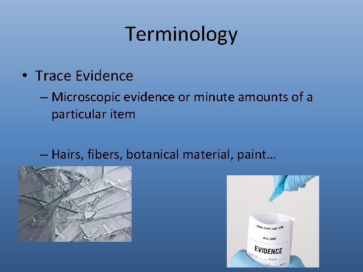 Terminology • Trace Evidence – Microscopic evidence or minute amounts of a particular item