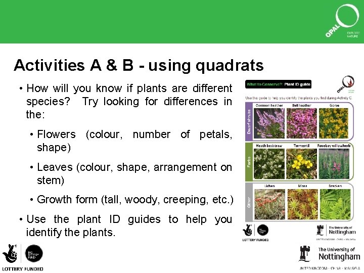 Activities A & B - using quadrats • How will you know if plants