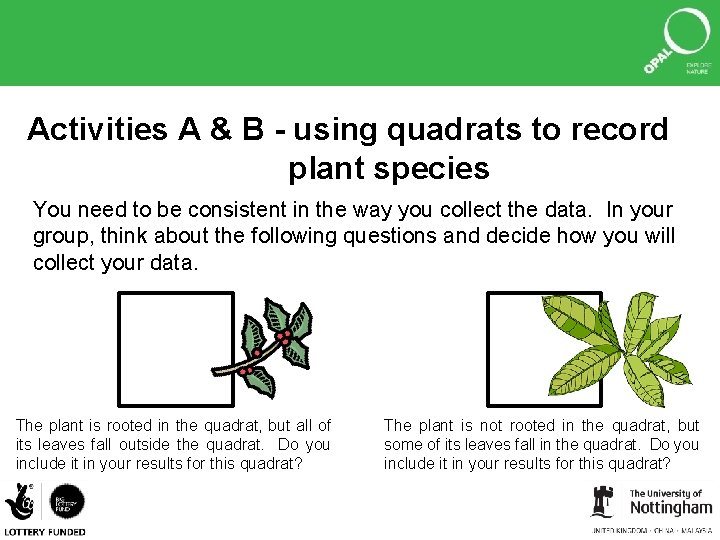 Activities A & B - using quadrats to record plant species You need to