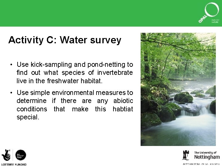 Activity C: Water survey • Use kick-sampling and pond-netting to find out what species
