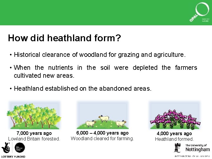 How did heathland form? • Historical clearance of woodland for grazing and agriculture. •