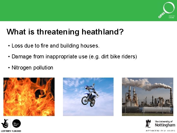 What is threatening heathland? • Loss due to fire and building houses. • Damage