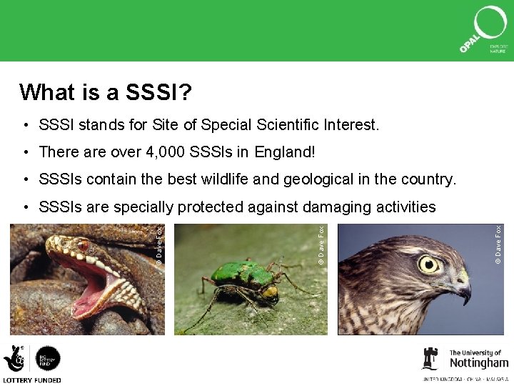 What is a SSSI? • SSSI stands for Site of Special Scientific Interest. •