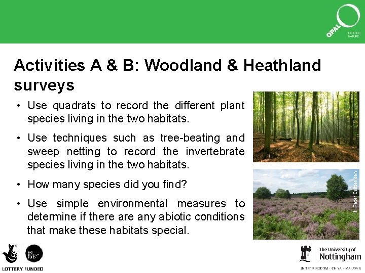 Activities A & B: Woodland & Heathland surveys • Use quadrats to record the
