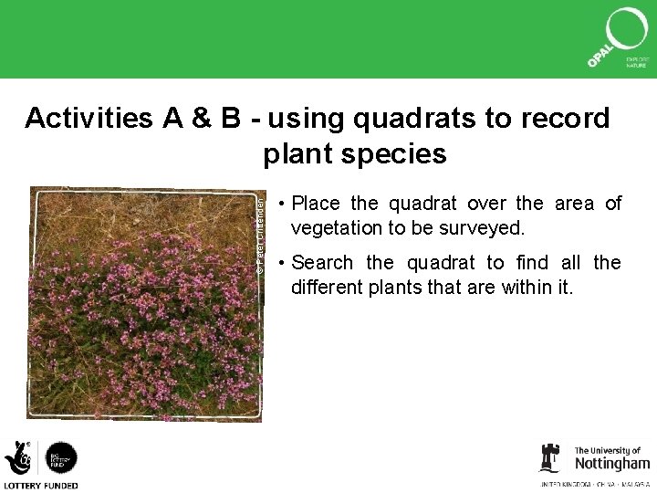 © Peter Crittenden Activities A & B - using quadrats to record plant species