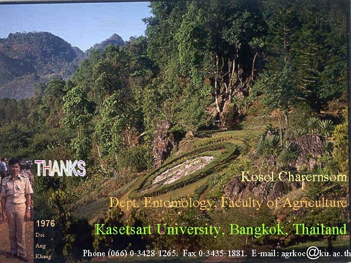 Kosol Charernsom Dept. Entomology, Faculty of Agriculture 1976 Doi Ang Khang Kasetsart University, Bangkok,