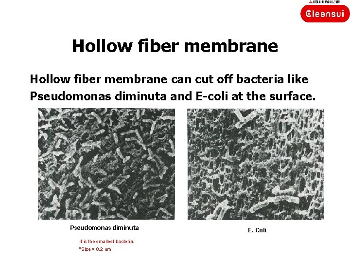Hollow fiber membrane can cut off bacteria like Pseudomonas diminuta and E-coli at the