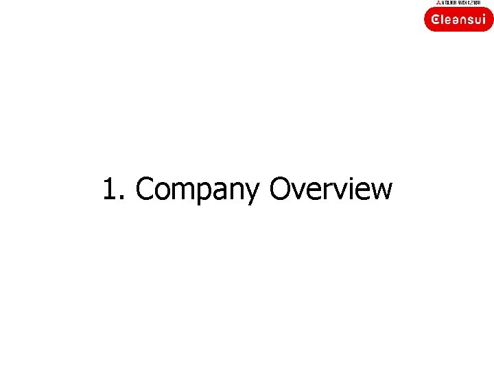1. Company Overview 