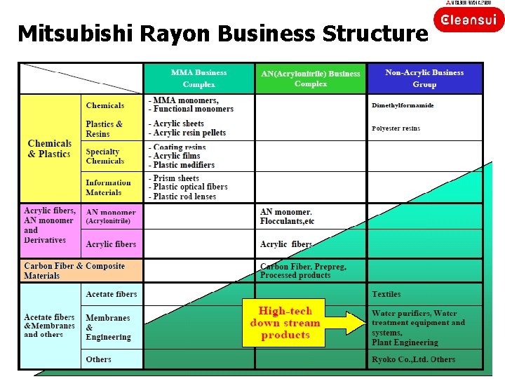 Mitsubishi Rayon Business Structure 