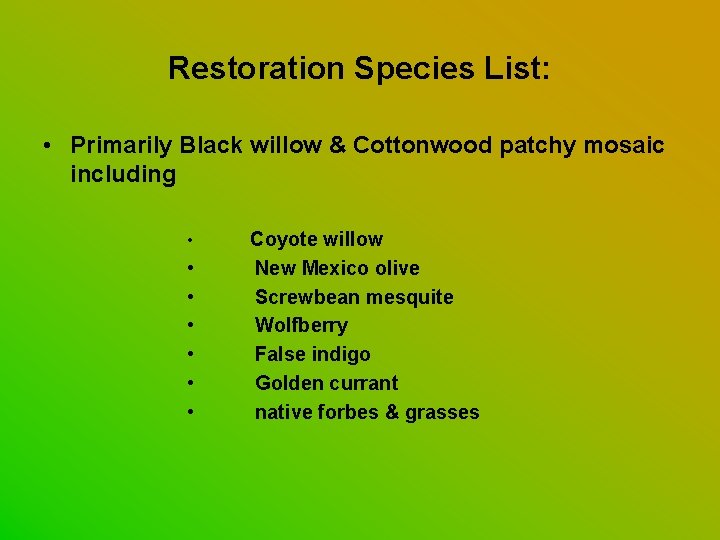 Restoration Species List: • Primarily Black willow & Cottonwood patchy mosaic including • •