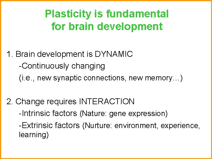 Plasticity is fundamental for brain development 1. Brain development is DYNAMIC -Continuously changing (i.