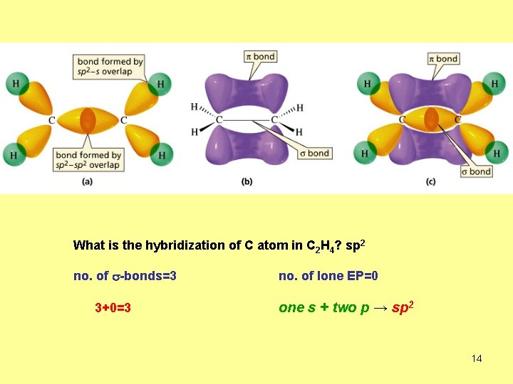 What is the hybridization of C atom in C 2 H 4? sp 2