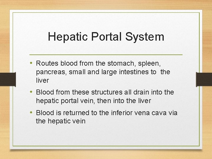 Hepatic Portal System • Routes blood from the stomach, spleen, pancreas, small and large