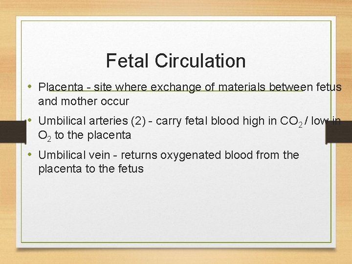 Fetal Circulation • Placenta - site where exchange of materials between fetus and mother