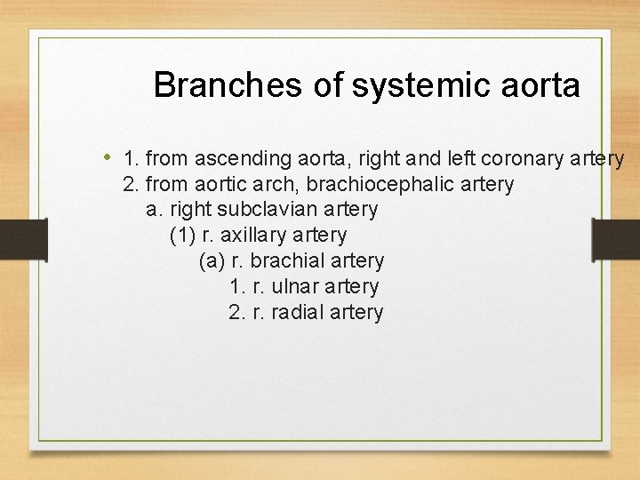 Branches of systemic aorta • 1. from ascending aorta, right and left coronary artery Branches of systemic aorta • 1. from ascending aorta, right and left coronary artery