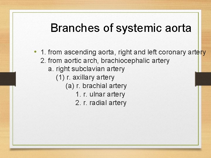 Branches of systemic aorta • 1. from ascending aorta, right and left coronary artery