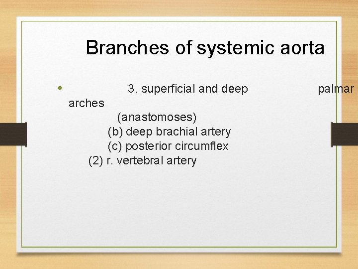 Branches of systemic aorta • 3. superficial and deep arches (anastomoses) (b) deep brachial