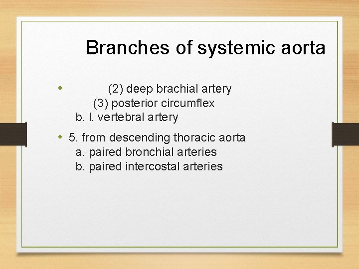 Branches of systemic aorta • (2) deep brachial artery (3) posterior circumflex b. l. Branches of systemic aorta • (2) deep brachial artery (3) posterior circumflex b. l.
