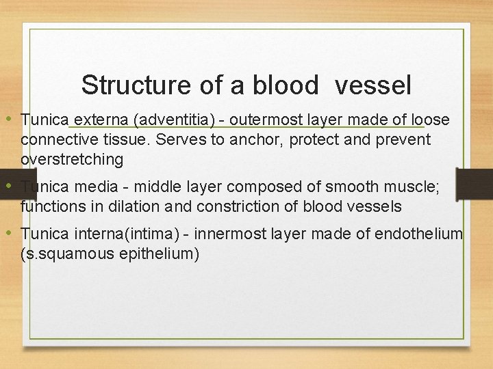 Structure of a blood vessel • Tunica externa (adventitia) - outermost layer made of Structure of a blood vessel • Tunica externa (adventitia) - outermost layer made of