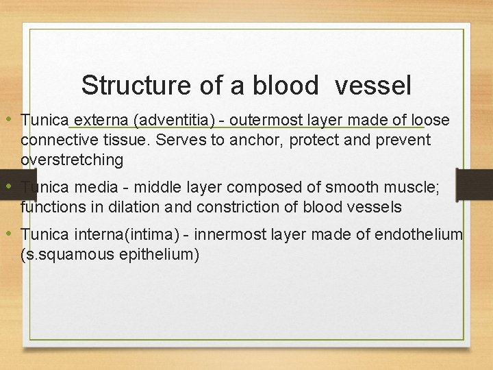 Structure of a blood vessel • Tunica externa (adventitia) - outermost layer made of