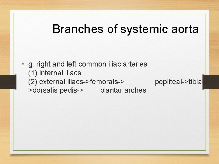 Branches of systemic aorta • g. right and left common iliac arteries (1) internal