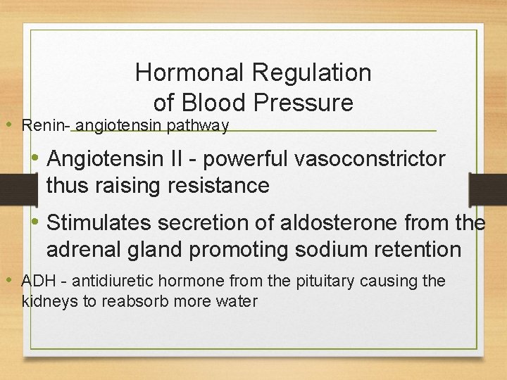 Hormonal Regulation of Blood Pressure • Renin- angiotensin pathway • Angiotensin II - powerful