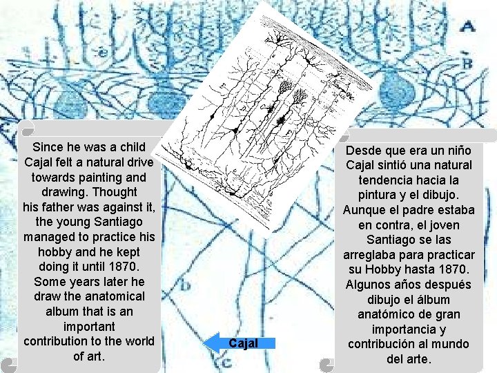 Since he was a child Cajal felt a natural drive towards painting and drawing.