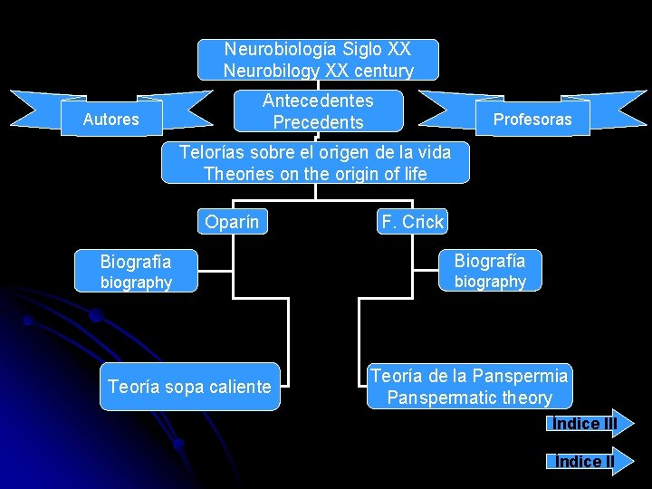 Neurobiología Siglo XX Neurobilogy XX century Antecedentes Precedents Autores Profesoras Telorías sobre el origen
